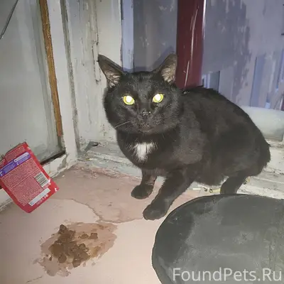 25 км, на Кирова 30 в...