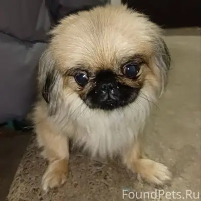 ДРУЗЬЯ, ПРОШУ РАСПРОСТРАНИТЬ🙏❤...