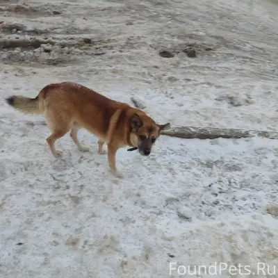 909квартал, может кто потерял,...