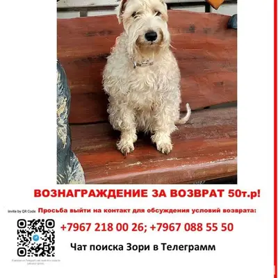 Район Реутов парка. г. Реутов....