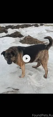 С четверга на пятницу пропала ...