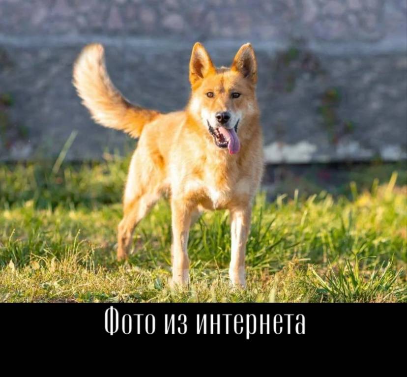 🔴‼️Несколько дней назад у нас ...