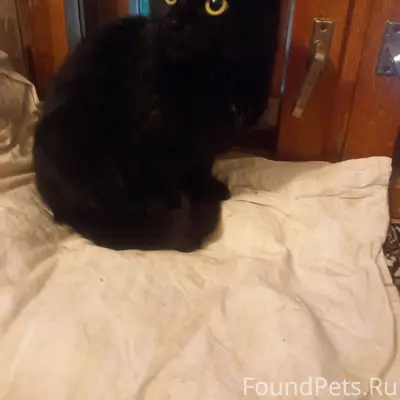 В старом больничном городке на...