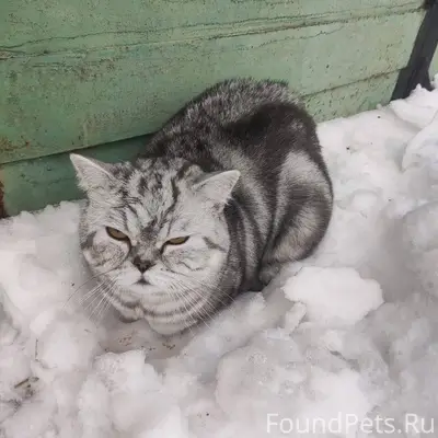 В районе 53 школы в Орске...