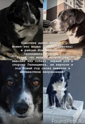 Помогите найти Джулю Город Нов...