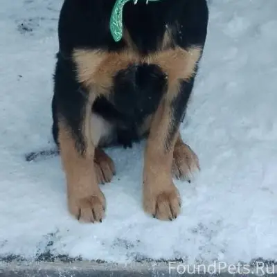 МАКСИМАЛЬНЫЙ РЕПОСТ! Найден ще...