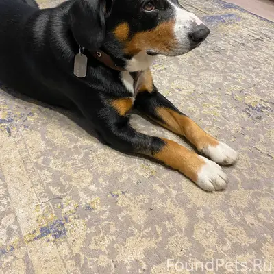 Поиски продолжаются! Важна люб...