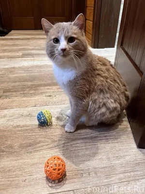 В самый морозный декабрьский д...