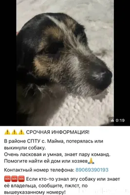️‼️‼️SOS‼️‼️‼️ Около месяца, в...