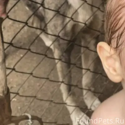 Южноуральск 04.01.26 со двора....