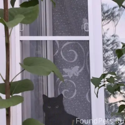 Добрый день! В районе пересече...