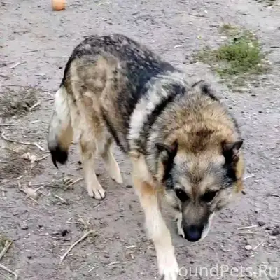 КИНЕШМА!! ОБЛАСТЬ!! И ВСЕ БЛИЗ...