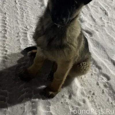 Добрый вечер 10.01.2026 в...