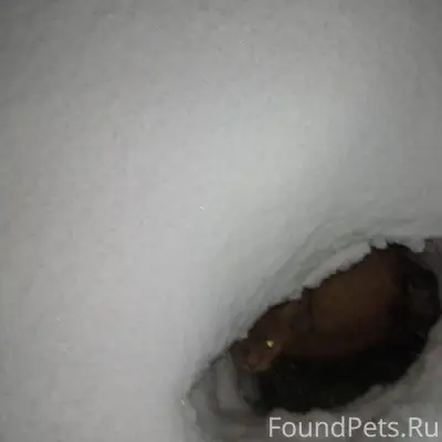 ‼️‼️‼️Г.Рошаль, около рынка , ...