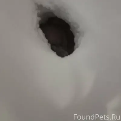 ‼️‼️‼️Г.Рошаль, около рынка , ...