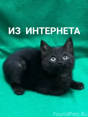 📍ул. Немировича-Данченко, Киро...