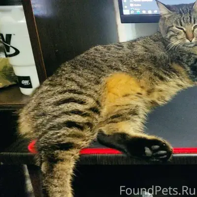 Помогите вернуть друга!