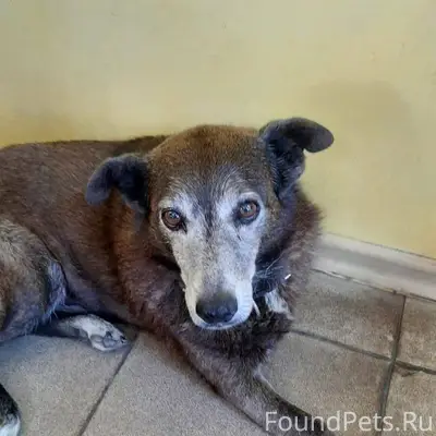 🆘🆘🆘 Ребята помогите пожалуйста...