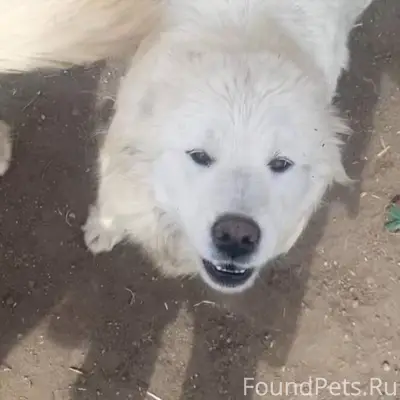 Здравствуйте. https://vk.ru/a2...