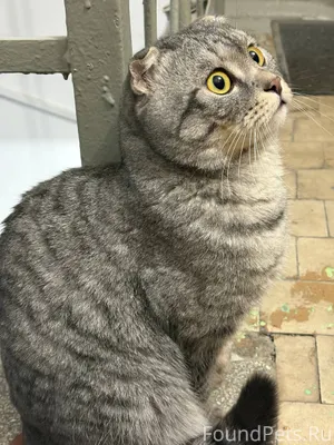 📍ул. Ватутина, Кировский район...