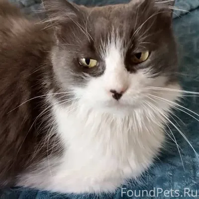 11 января примерно в 8-9...