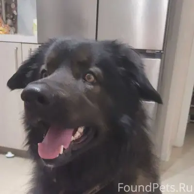 Здравствуйте! Репостните, если...