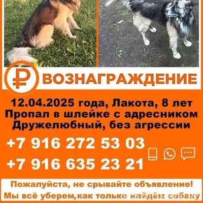 ПОИСКИ ПРОДОЛЖАЮТСЯ!!! Пропала...