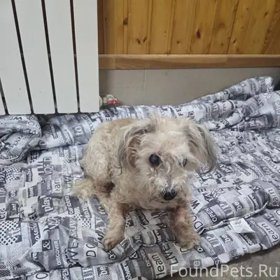 Я нашел: «В районе Оскочное, р...