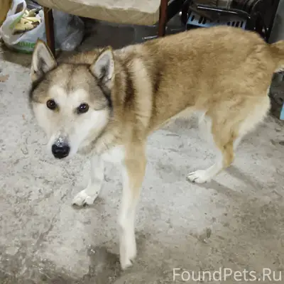 Здравствуйте, админ, опубликуй...