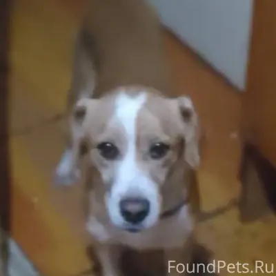 Доброго времени суток! Сегодня...