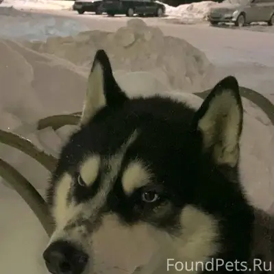 Всем доброго времени суток! В ...
