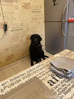 Помогите найти пожалуйста