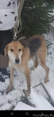 #Калужская_область 3 января по...