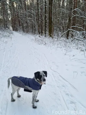 Друзья, прошу максимальный реп...