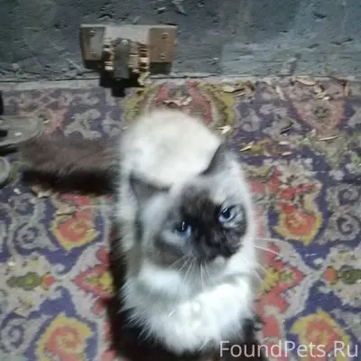 В районе РИИЖТА ( Ул. Ларина) ...