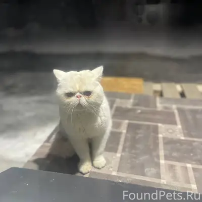 П. Восточный. Ул Ненароково 29...