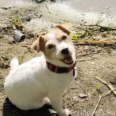 #Бюро_Находок_ВестникN Потерял...