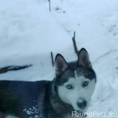 Админушка , пропусти пожалуйст...