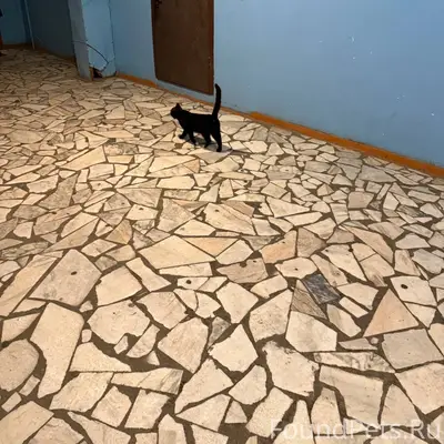 Найден (замечен) СРОЧНО!!! Бат...