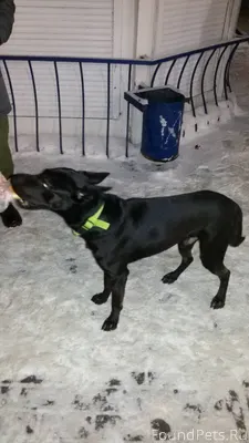 Сейчас на остановке у пирожков...