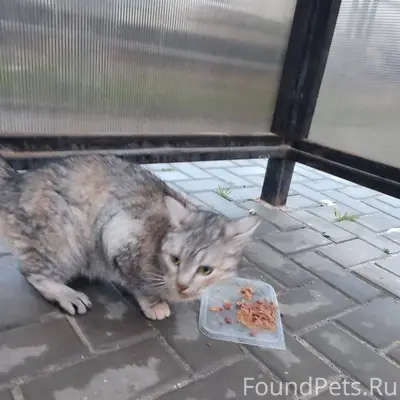 На ул.Шмидта на остановке напр...