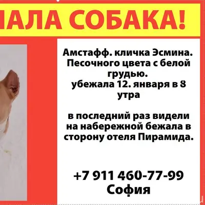 Убежала девочка амстаффа