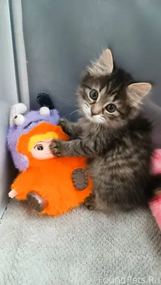 Мишель готова ехать домой❤ Ост...