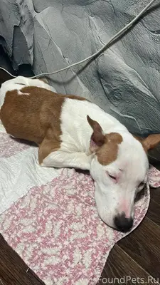 Не могу не поделиться радостно...