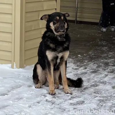 Второй день подряд возле 7 шко...