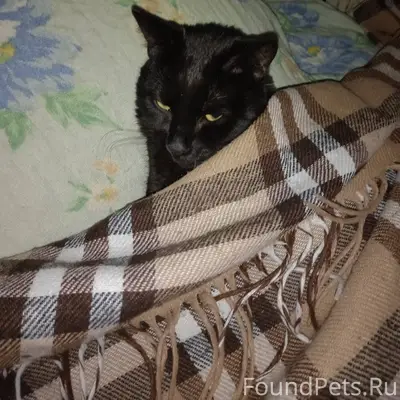 Друзья, максимальный репост. Э...