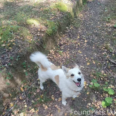 Здравствуйте! Помогите, пожалу...