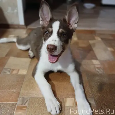 Найдена девочка ,в подъезде  п...