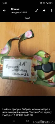 1. Фотография 1 Автор https://...