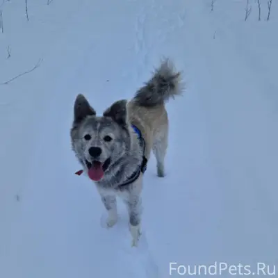 Буду благодарна, если опублику...